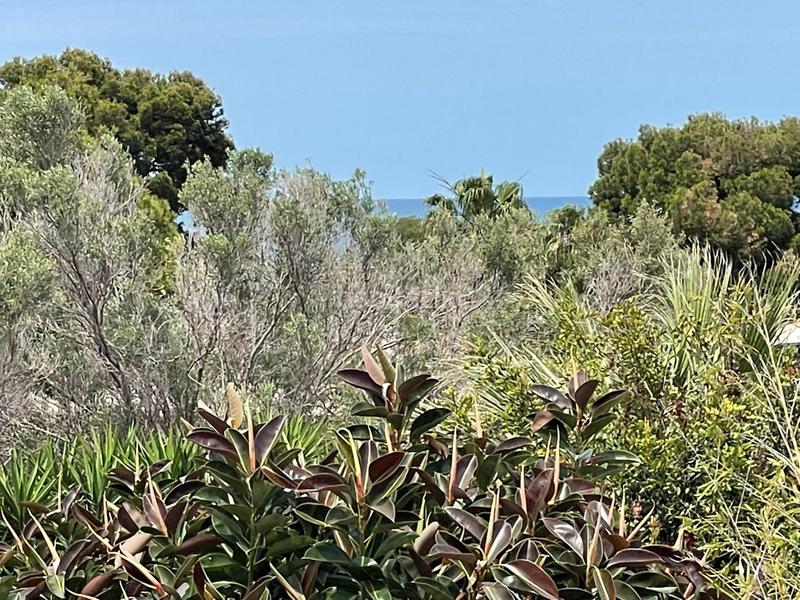 Foto 5a26479a-892c-4cd1-bf2c-6140a26145e5. Xalet a calle pal.las 1 a Las Rotas / Les Rotes Dénia