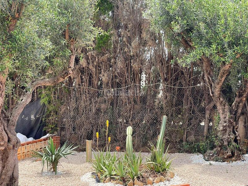 Foto 8ae3564f-2f2d-4fe4-bd70-e4a825e2993e. Xalet a calle pal.las 1 a Las Rotas / Les Rotes Dénia