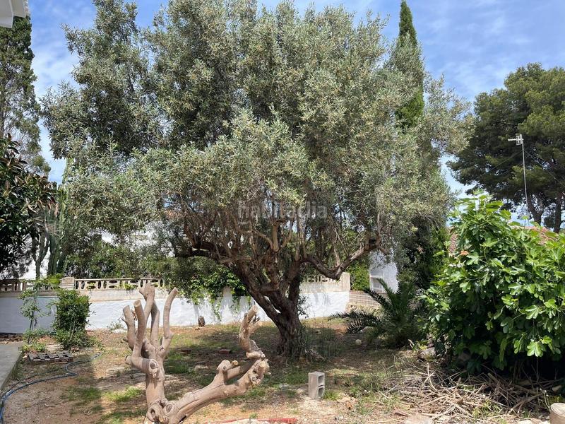 Foto a9ba88e1-8a71-488d-a941-b0b0560759bf. Xalet a calle pal.las 1 a Las Rotas / Les Rotes Dénia