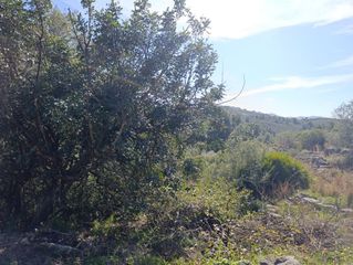 Wohngrundstück in Ráfol de Almunia. Gran parcela en venta en monte pego inversión, espacio y proyecc
