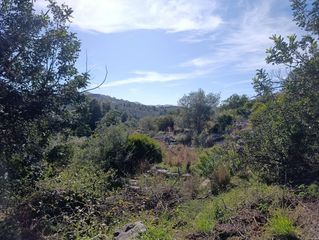 Residential Plot in Ráfol de Almunia. Gran parcela en venta en monte pego inversión, espacio y proyecc