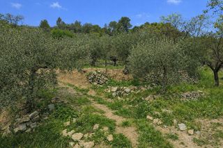 Finca rústica a Castell de Castells. Venta  de 3 parcelas rústicas en castell de castells