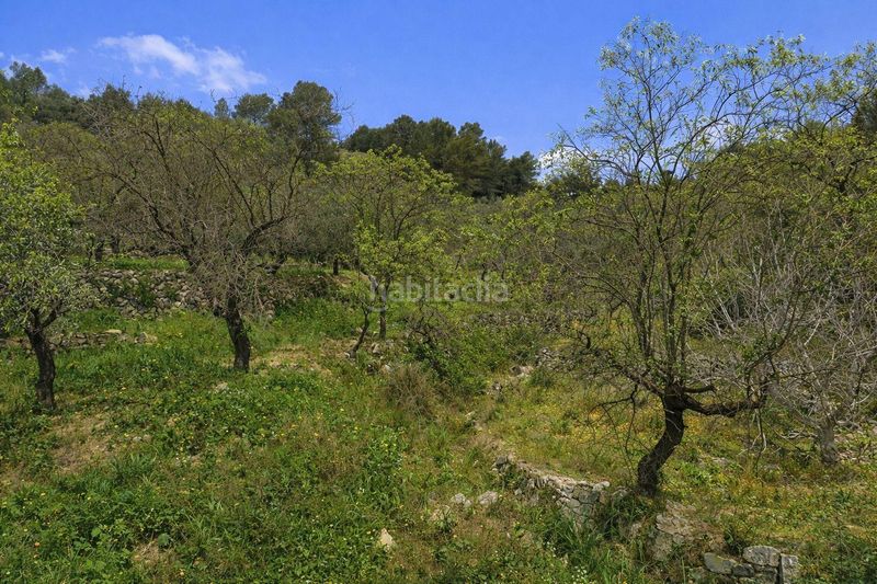 Foto 57039f53-5e49-40f3-a23c-f11562512929. Finca rústica venta de 3 parcelas rústicas en Castell de Castells