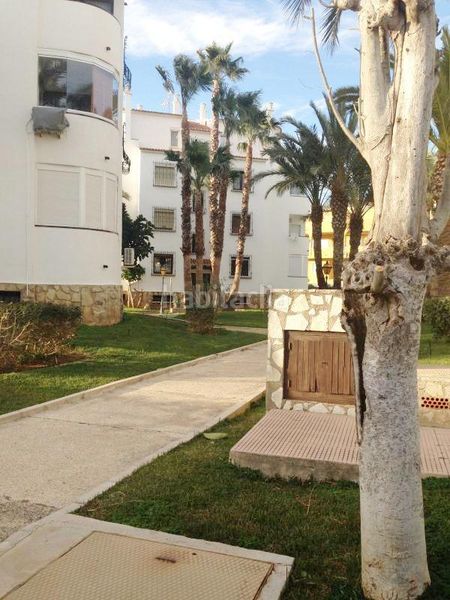 Foto c61dd548-54d7-4a00-ada8-c7d2c22dd5cb. Apartament amb aparcament piscina a El Palmar - Los Molinos Dénia