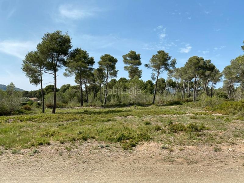 Foto 7c632e3e-683b-4065-9ea6-c1b8e726b971. Residential plot in Cabra del Camp