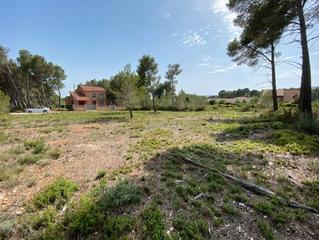 Residential Plot in Cabra del Camp. Terreno en cabra del camp, tarragona