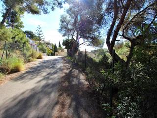 Residential Plot in Cala Advocat-Baladrar