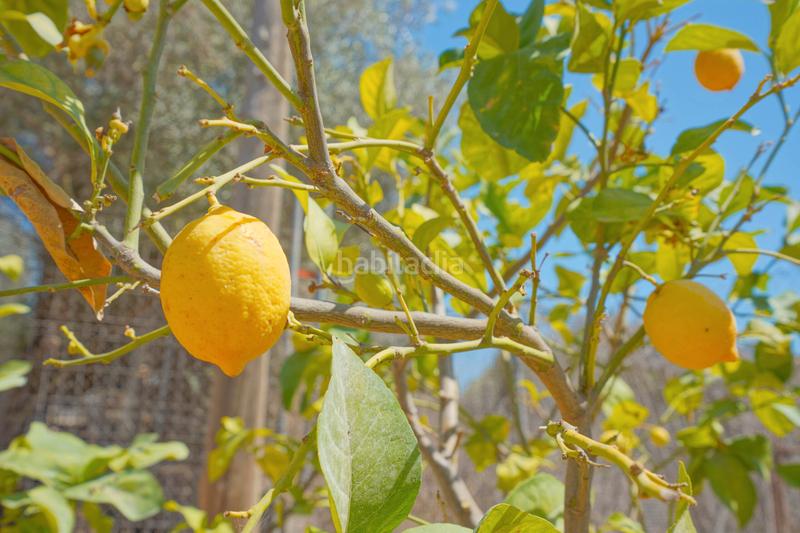 Foto 494b80c2-60fb-4ee4-9b32-06d7aa6c92cb. Chalet avec piscine dans Partida Comunes-Adsubia Xàbia