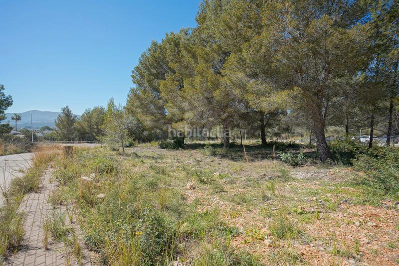 Foto 34ab7de5-5570-4b19-bda7-7f658ec773c6. Terreny residencial a Partida Tosal - Zona dels Castellans Xàbia
