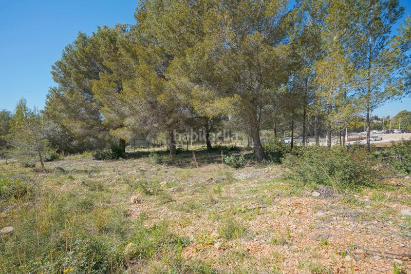 Foto 53156016-d096-43bc-9330-f9eb1ec122cb. Terreny residencial a Partida Tosal - Zona dels Castellans Xàbia