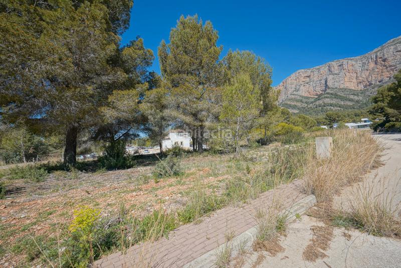 Foto 7c587dc8-3dab-43d0-a191-d3f9676571e3. Terreny residencial a Partida Tosal - Zona dels Castellans Xàbia