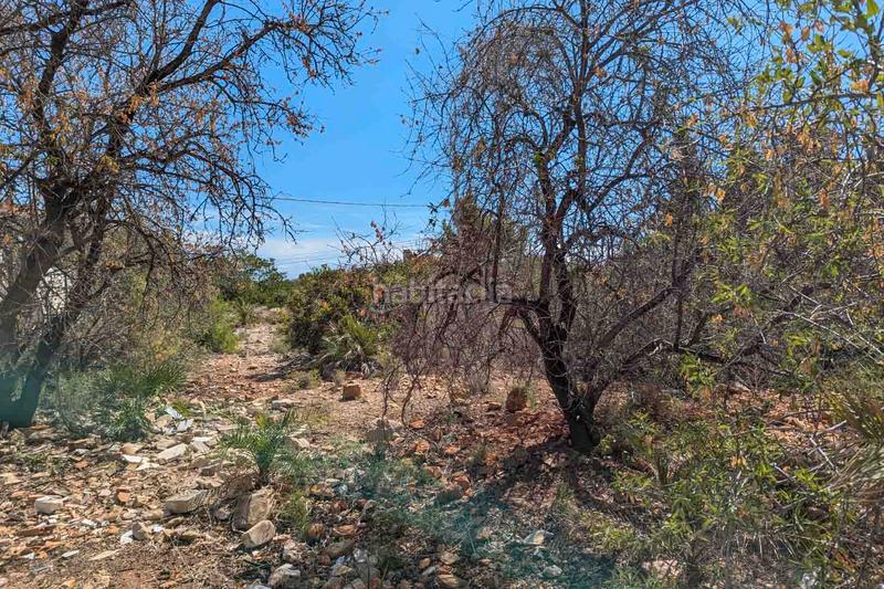 Foto ff4115df-c721-414b-8174-fb3998894a9c. Terreny residencial a El Montgó Dénia