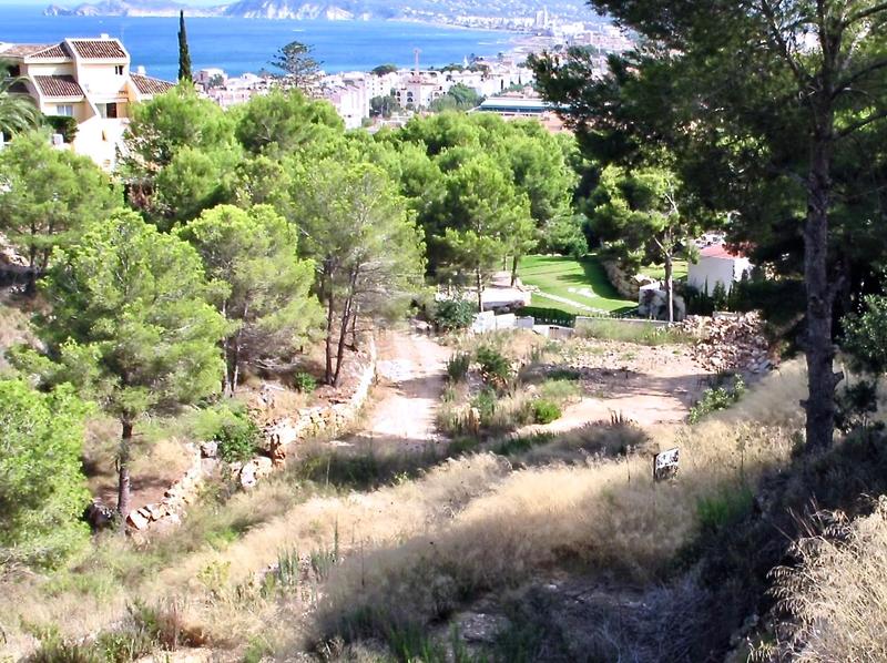 Foto ae7e9ce7-7e7e-4973-829e-3695a6d0ddc9. Terreno residencial en Puerto Xàbia