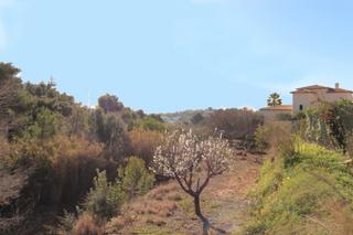 Terreny residencial a Benissa Pueblo