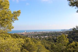 Terreny residencial a Cap Martí - El Tossalet - Pinomar