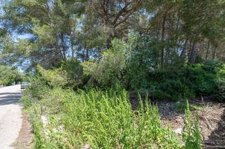 Terreno residenziale in La Granadella - Costa Nova