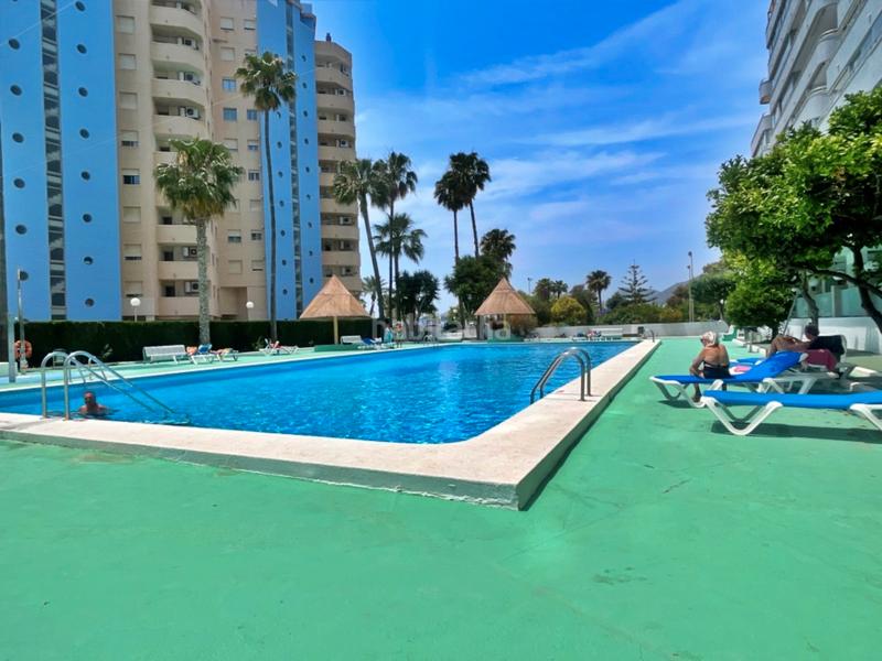 Foto 95d5a4d8-19fb-4baf-997d-7281d1a88697. Piccolo appartamento con piscina in Zona Levante - Playa Fossa Calp