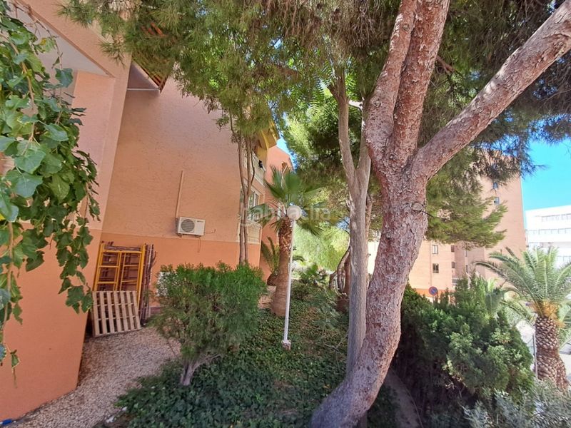 Foto f37d9e40-513a-4a44-9803-ea50fae7b6d7. Apartament amb calefacció aparcament piscina a cala Finestrat Finestrat