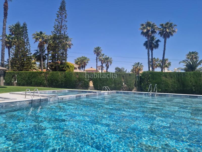 Foto a7dad65f-58be-41d5-bf15-756030a7bb91. Piccolo appartamento con parcheggio piscina in Playa Flamenca Orihuela