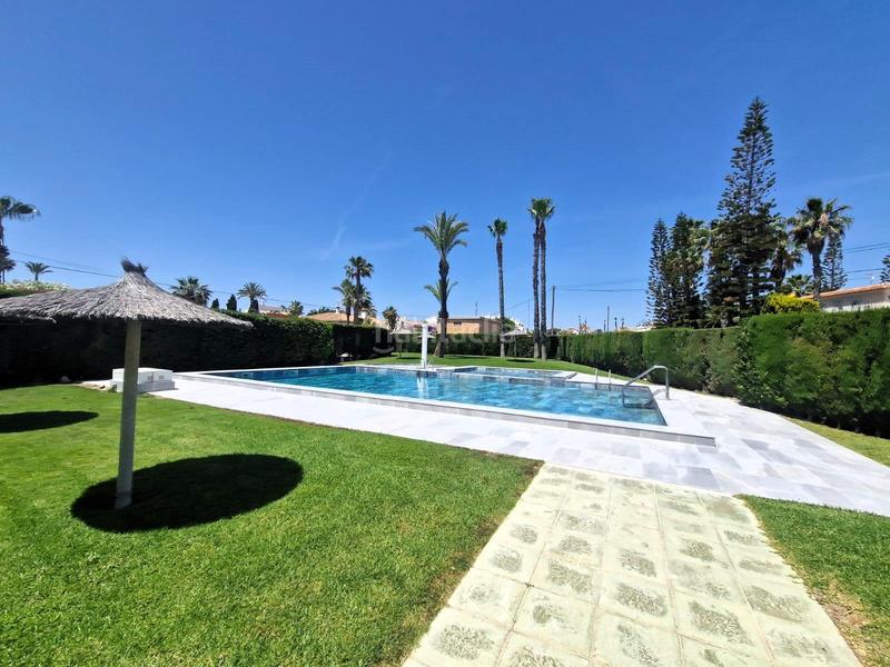 Foto b1e5bc28-1d13-4901-8e7e-8f0cffabcc16. Piccolo appartamento con parcheggio piscina in Playa Flamenca Orihuela