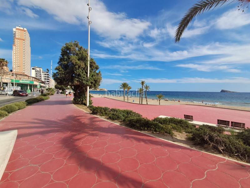 Foto e37f3a4d-17d8-4ee7-95cc-996b6b603c83. Apartamento en Playa Poniente Benidorm