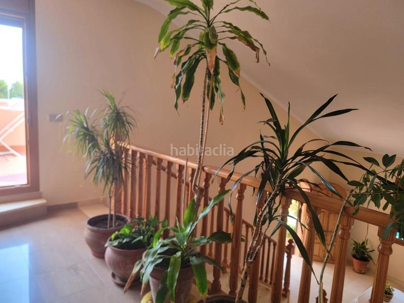 Foto 12b3471e-b578-4291-96b9-c70c155fd61c. Chalet with heating parking pool in Torreblanca Torrevieja