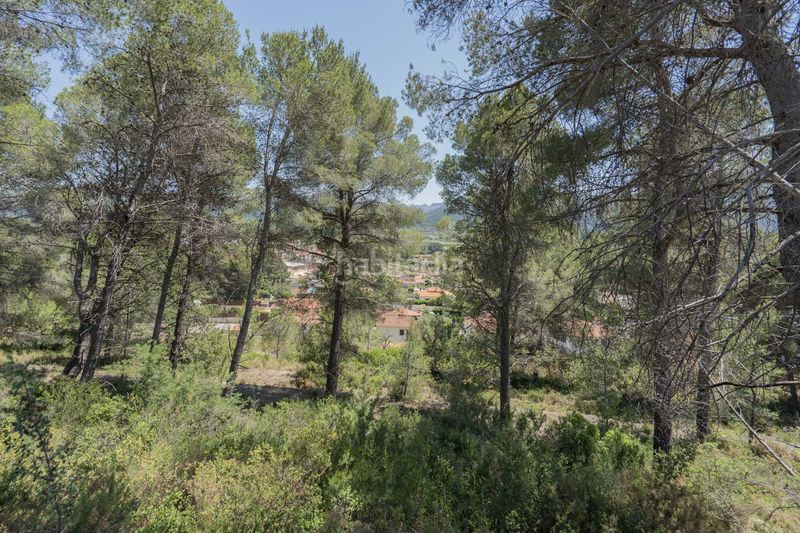 Foto ab384190-9556-400a-aea8-7ddc6b6f489a. Xalet a Alcalalí