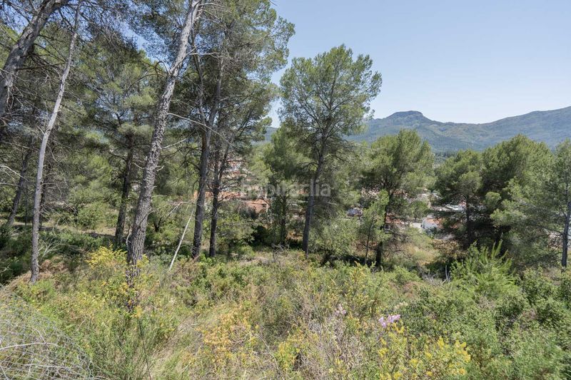 Foto ff16659f-ae9d-4010-bc0c-f980df3610ef. Xalet a Alcalalí