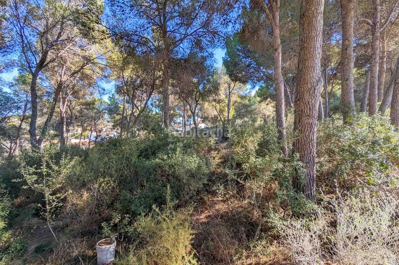 Foto da54ca6b-8a7a-4ccf-9b31-7f7d6d3dc542. Xalet amb piscina a Pinar de Advocat-Cometa Moraira
