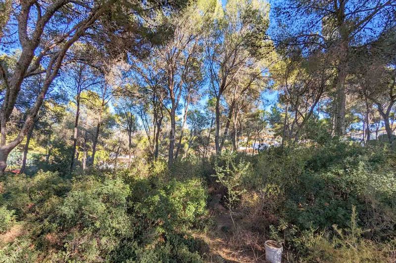 Foto e363b416-44ae-42f4-ab91-95e8016d411c. Xalet amb piscina a Pinar de Advocat-Cometa Moraira