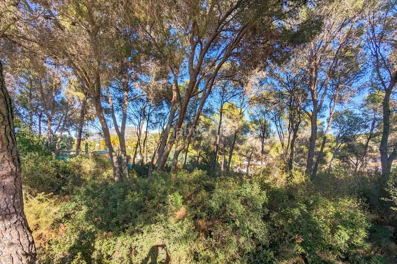 Foto ed349ff6-e281-4bd8-a5ba-0d7fabf31599. Xalet amb piscina a Pinar de Advocat-Cometa Moraira