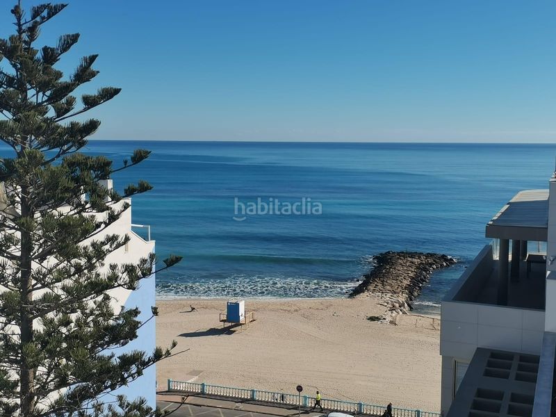 Foto 3b0857a2-34a1-4f20-ac23-8543a25fd405. Àtic a Zona Playa de los Locos Torrevieja