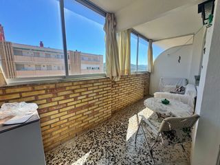 Affitto Piccolo appartamento in Centro Ciudad