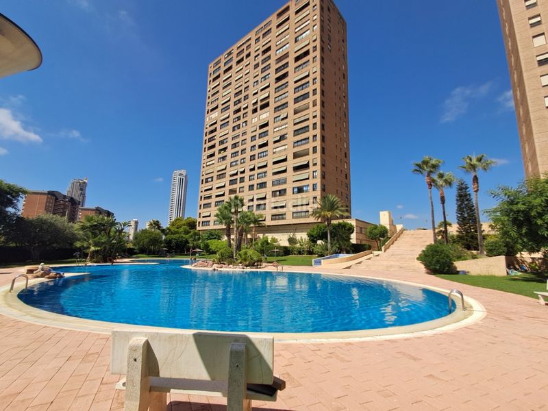 Foto 01de9d53-a9d2-40f9-808e-359cfeadef9e. Apartament amb aparcament piscina a Playa Poniente Benidorm