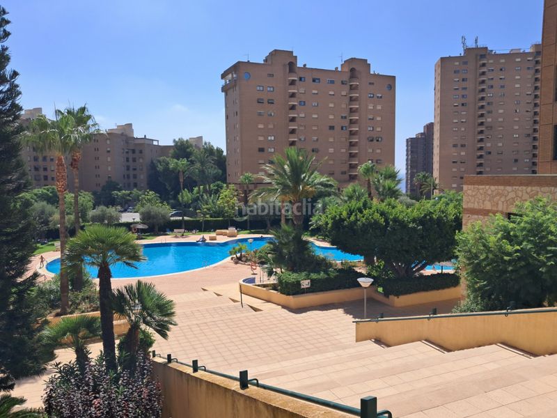 Foto 50a93643-fa1f-48f6-8a7b-c9acaa466ba8. Apartament amb aparcament piscina a Playa Poniente Benidorm