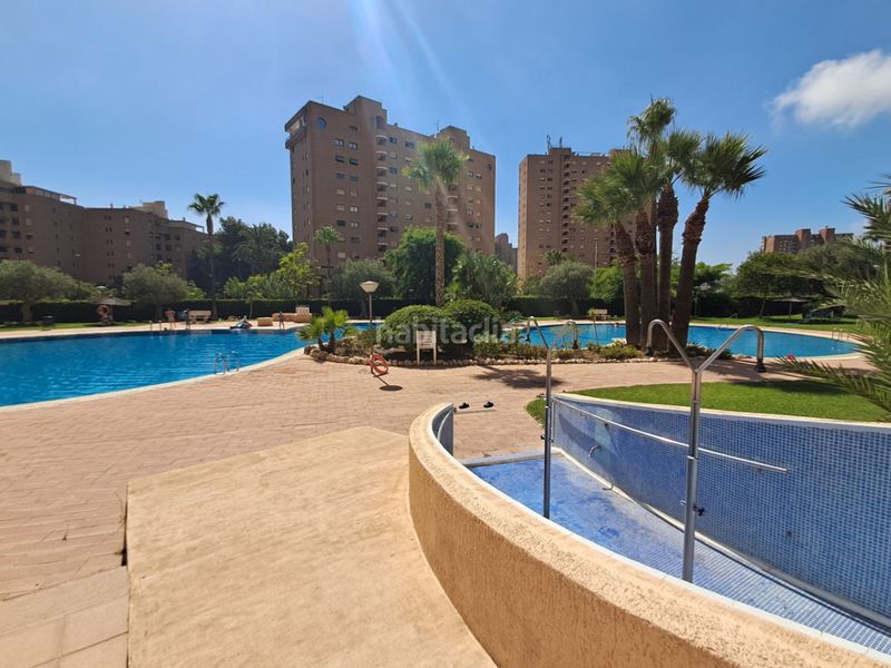 Foto 5d2e5bc9-147e-4e91-b18c-3af7e8978e30. Apartament amb aparcament piscina a Playa Poniente Benidorm
