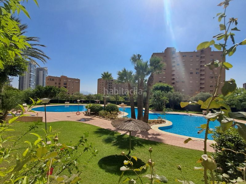 Foto 68b646a3-8222-4433-82d6-28f81938c2c4. Apartament amb aparcament piscina a Playa Poniente Benidorm