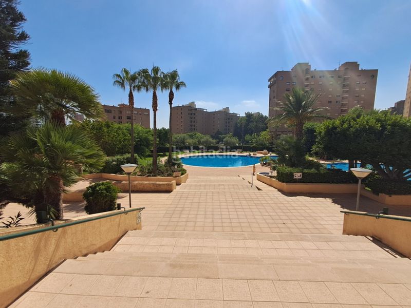 Foto 87c9eac9-562f-4e1c-8902-6b9e719dde77. Apartament amb aparcament piscina a Playa Poniente Benidorm