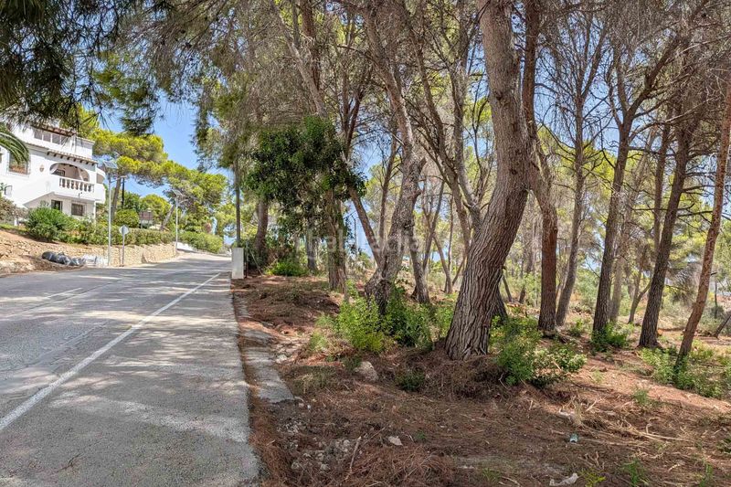Foto 12211e18-a1da-4957-af1b-76aea19627ab. Terreno residencial en Pinar de Advocat-Cometa Moraira