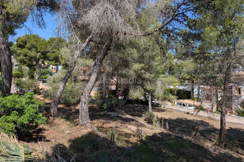 Foto b57fc244-68f5-4176-9d56-e01deb4f59a1. Terreno residencial en Pinar de Advocat-Cometa Moraira