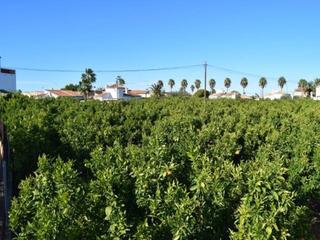 Terreny residencial a Poblets (els)
