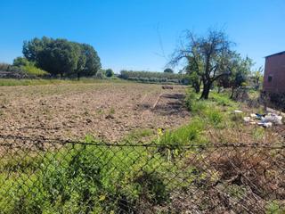 Rural plot  Plaza españa. Terreno regadío ideal para producción
