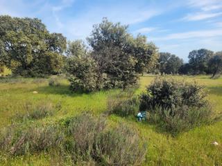 Landgut in Carretera madrid 2a. Vtt-9543 finca