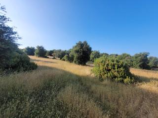 Propriété à Mejorada. Se vende finca rústica en mejorada (toledo)