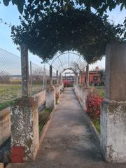 Rural plot in Patrocinio-Nueva Talavera