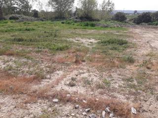 Terreny residencial a Pepino. Vtt-9284-chaparral