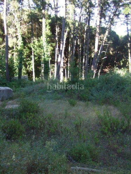 Foto 6a20b717-4d62-48f2-b1fc-196a11beb547. Terreny residencial a Canyamars Dosrius