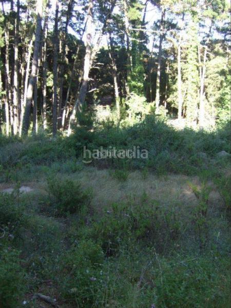 Foto 7c572088-becc-49c9-b378-0781f6f9b661. Wohngrundstück in Canyamars Dosrius