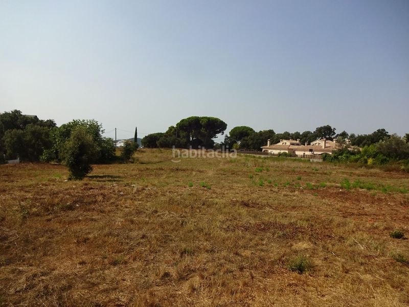 Foto 6a206c51-68a5-455b-92e1-5584922b31a8. Terreny residencial a Canyamars Dosrius