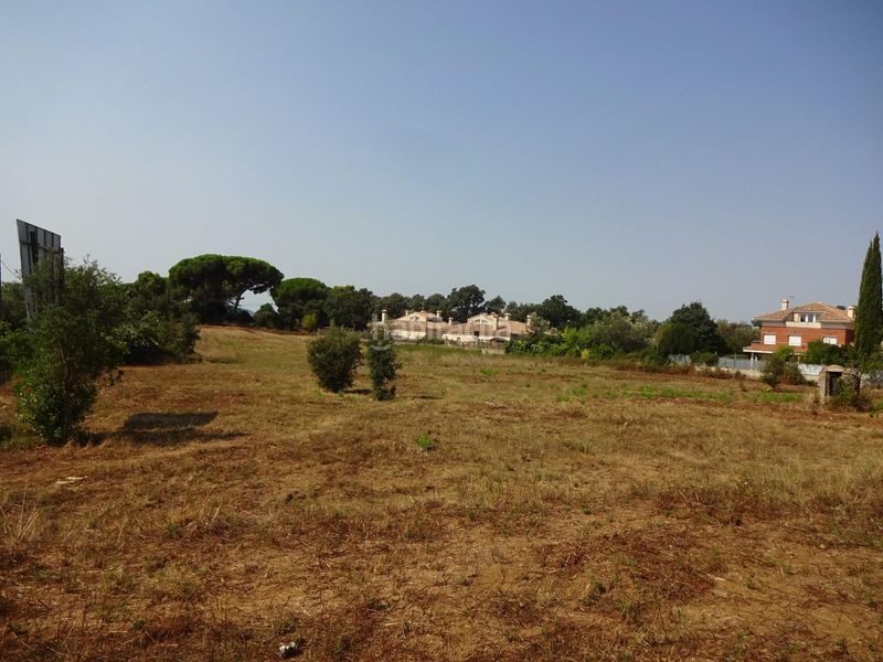 Foto d90c1b59-722e-4c0c-bb83-b41633ed7af3. Terreny residencial a Canyamars Dosrius